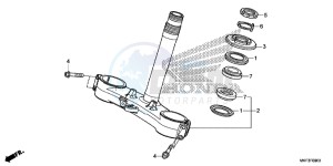 CBR1000S2 2ED - (2ED) drawing STEERING STEM