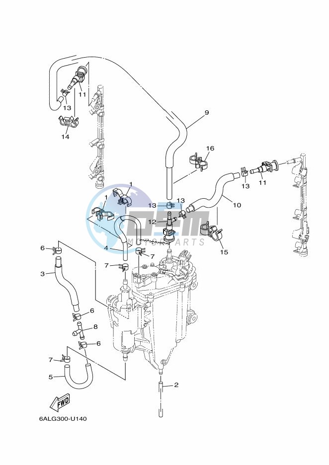 FUEL-PUMP-2