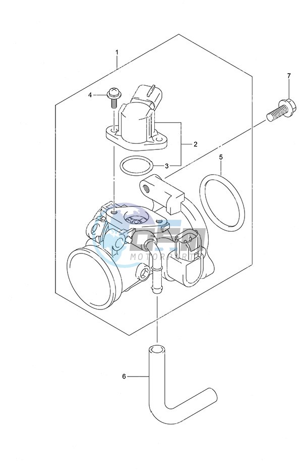 Throttle Body Remote Control