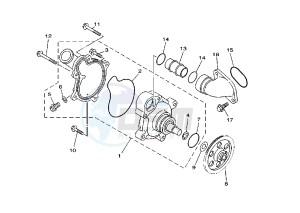 TDM 850 drawing WATER PUMP