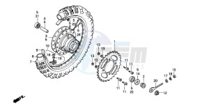 XR80R drawing REAR WHEEL