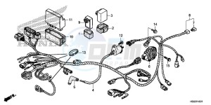 TRX250TEH Europe Direct - (ED) drawing WIRE HARNESS (TRX250TE)