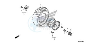 TRX420FPMD TRX420 Europe Direct - (ED) drawing REAR WHEEL