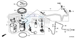 TRX420FA6F TRX420F Australia - (U) drawing FUEL PUMP