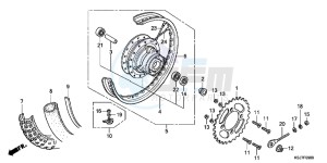 CRF100FC drawing REAR WHEEL