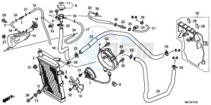 FJS400D9 ED / 2ED drawing RADIATOR (FJS400D9/FJS400 A)