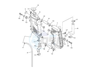 YZ LC 250 drawing RADIATOR AND HOSE