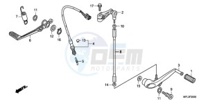 CBR1000RRA France - (F / CMF HRC) drawing PEDAL