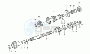 California III 1000 Iniezione Iniezione drawing Gear box