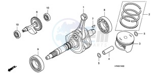 TRX420FMA Australia - (U / 4WD) drawing CRANK SHAFT/PISTON