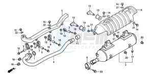 TRX350FM FOURTRAX 350 4X4 drawing EXHAUST MUFFLER