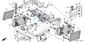 VFR800A9 France - (F / ABS CMF MME) drawing RADIATOR