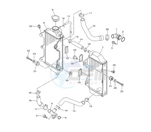 YZ F 450 drawing RADIATOR AND HOSE