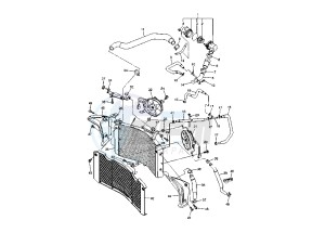 FZ1-S FAZER 1000 drawing COOLING SYSTEM