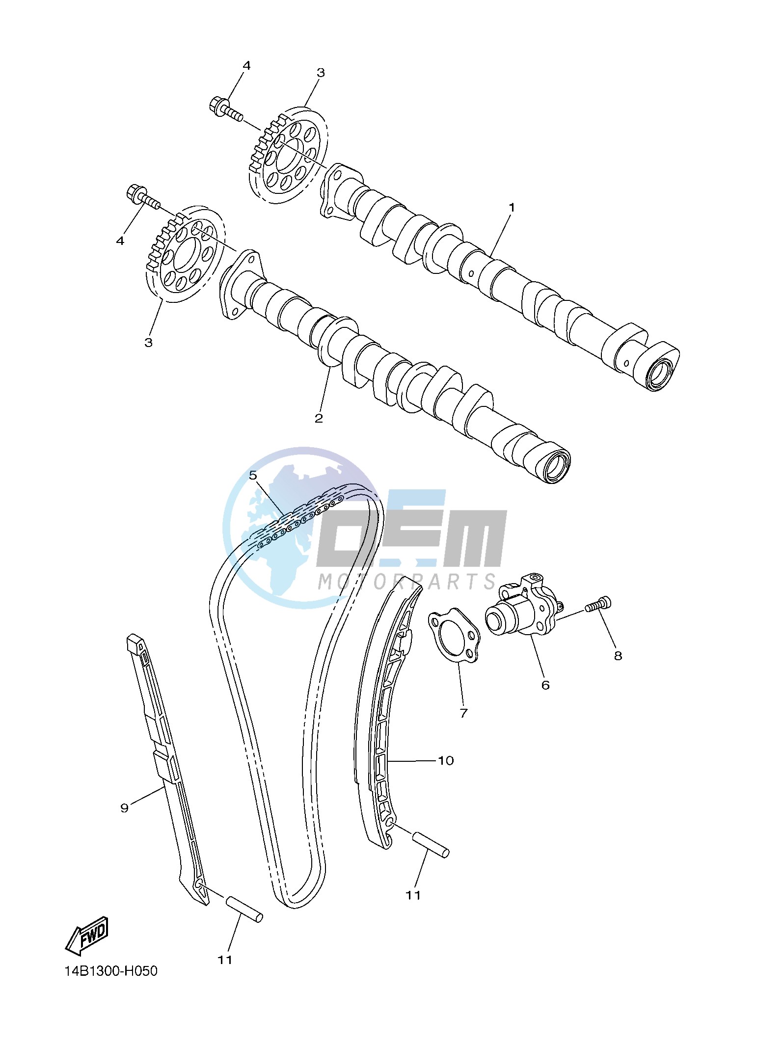 CAMSHAFT & CHAIN