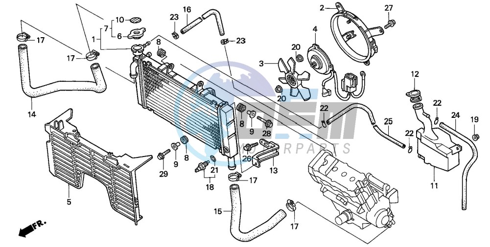 RADIATOR (1)