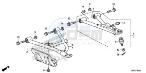 TRX500FM1G TRX500 Europe Direct - (ED) drawing FRONT ARM