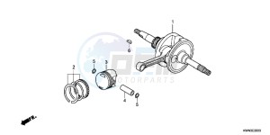 WW125EX2C drawing CRANKSHAFT/PISTON