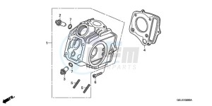 CRF50F9 Australia - (U) drawing CYLINDER HEAD