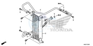 TRX500FAE TRX500FA Europe Direct - (ED) drawing OIL COOLER