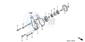 CRF250R9 Europe Direct - (ED / CMF) drawing WATER PUMP