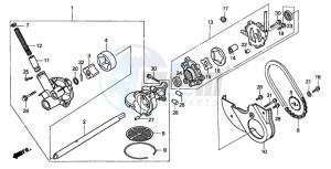 GL1500C VALKYRIE drawing OIL PUMP