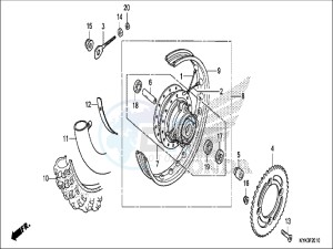 CRF110FH Europe Direct - (ED) drawing REAR WHEEL