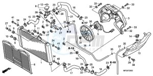 CB600FA Europe Direct - (ED) drawing RADIATOR