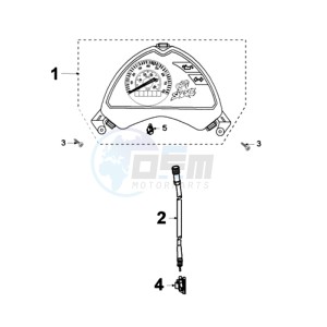 LUDIX 10 OR SNAKE drawing SPEEDO