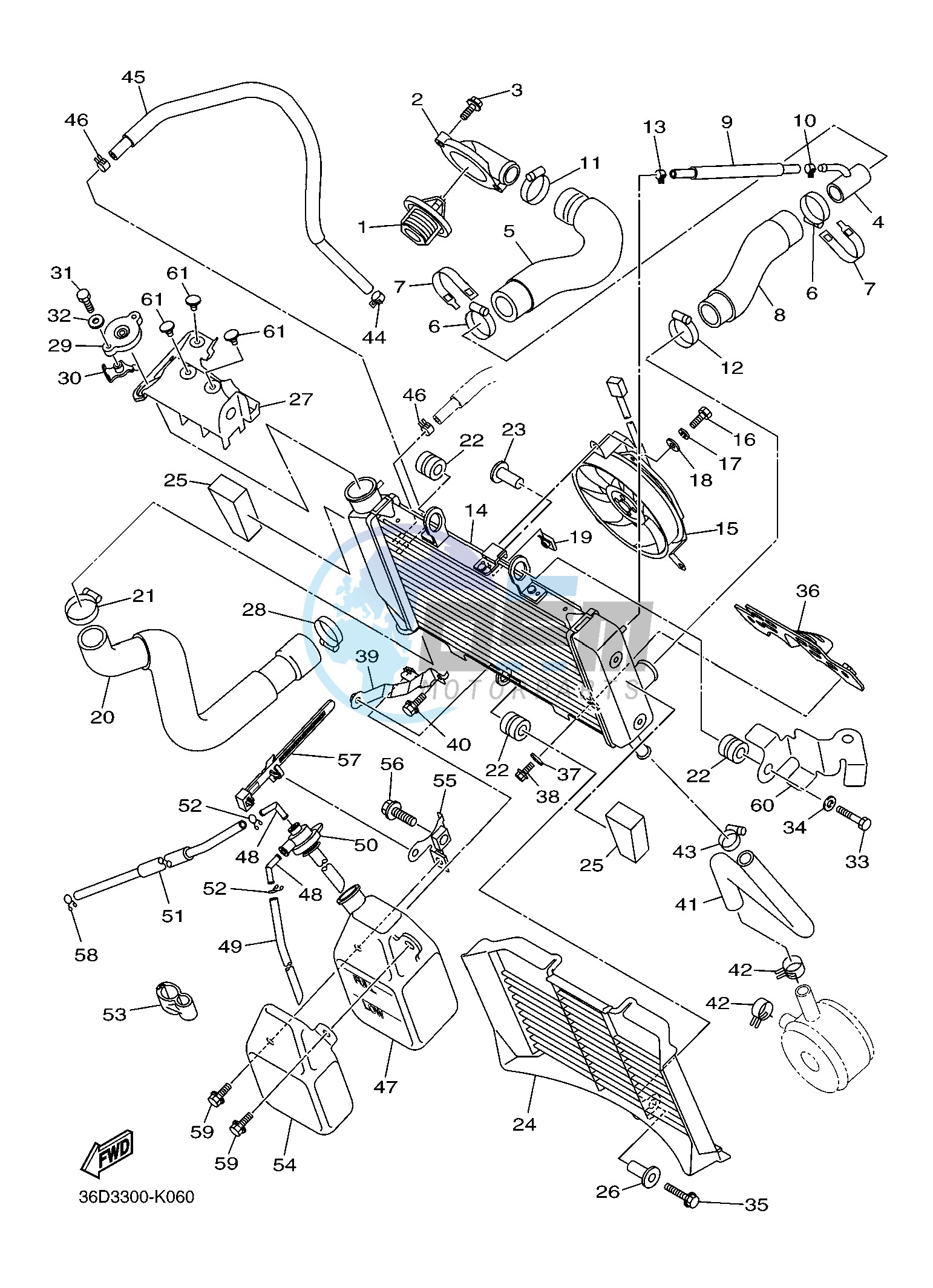 RADIATOR & HOSE