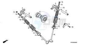 CRF230F9 Australia - (U) drawing CAMSHAFT/VALVE