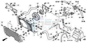 CB1300SA9 France - (F / ABS BCT CMF MME TWO TY2) drawing RADIATOR (CB1300A/CB1300S A)