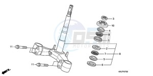 FES150A9 Europe Direct - (ED / ABS) drawing STEERING STEM