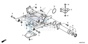 TRX500FE1H Europe Direct - (ED) drawing SWINGARM