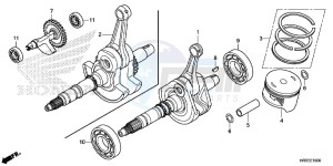 TRX420FA2F TRX420 Europe Direct - (ED) drawing CRANK SHAFT/ PI STON