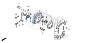 C50 drawing FRONT BRAKE PANEL