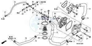 VFR1200FC drawing WATER PUMP