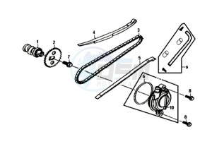 ORBIT II 50 25KMH (L8) NL drawing CHAIN / CHAIN TENSIONER  / CHAIN GUIDE