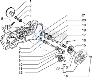 Typhoon 50 drawing Rear wheel shaft