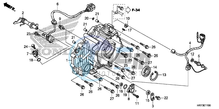 REAR CRANKCASE COVER