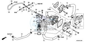 VFR1200XDLE CrossTourer ED drawing WATER PUMP