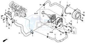 CB900F 919 drawing WATER PUMP