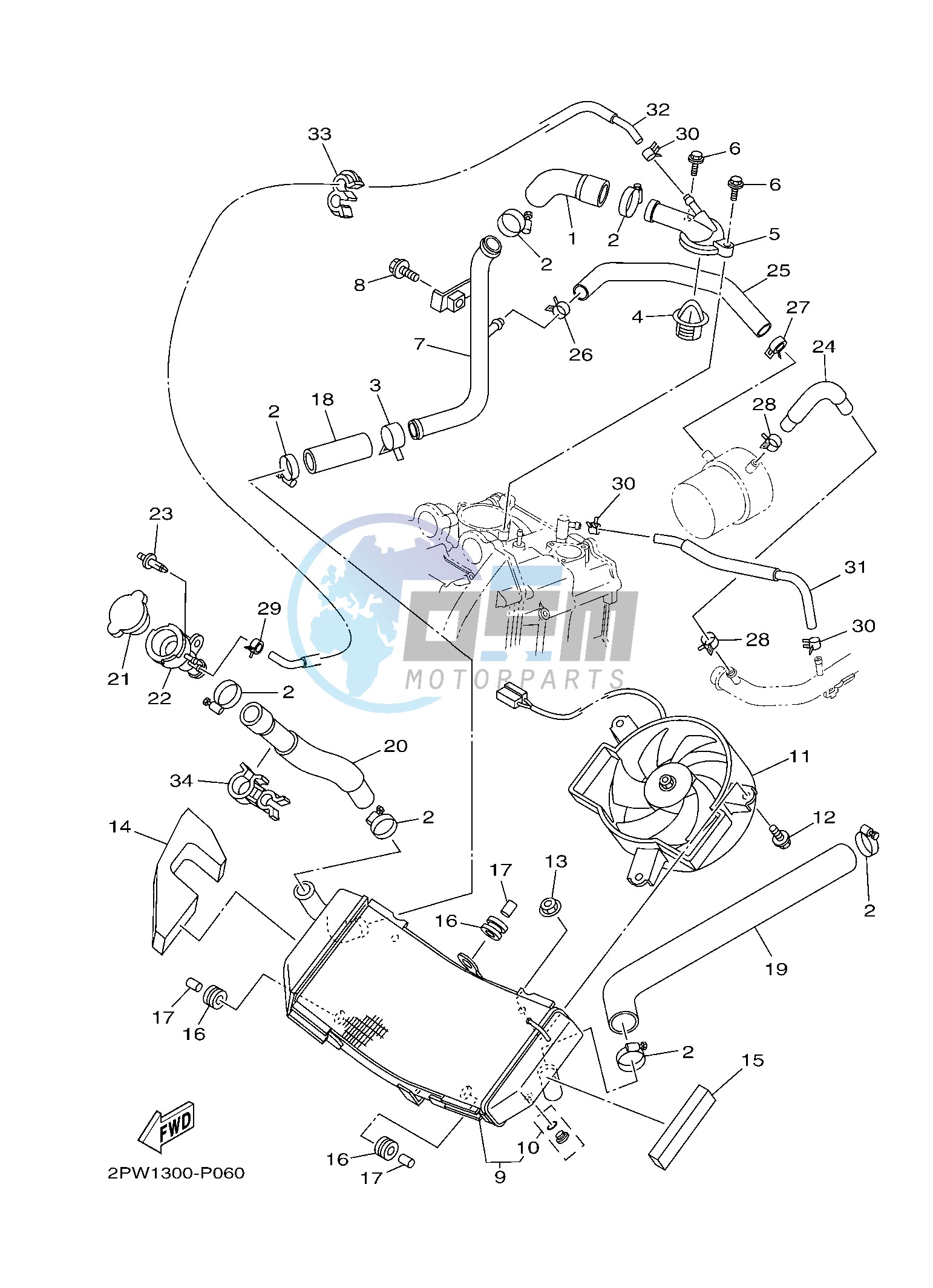 RADIATOR & HOSE