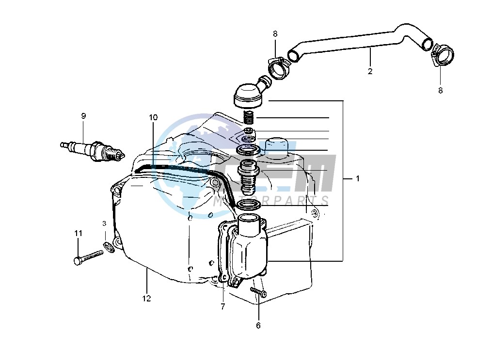 Oil drain valve