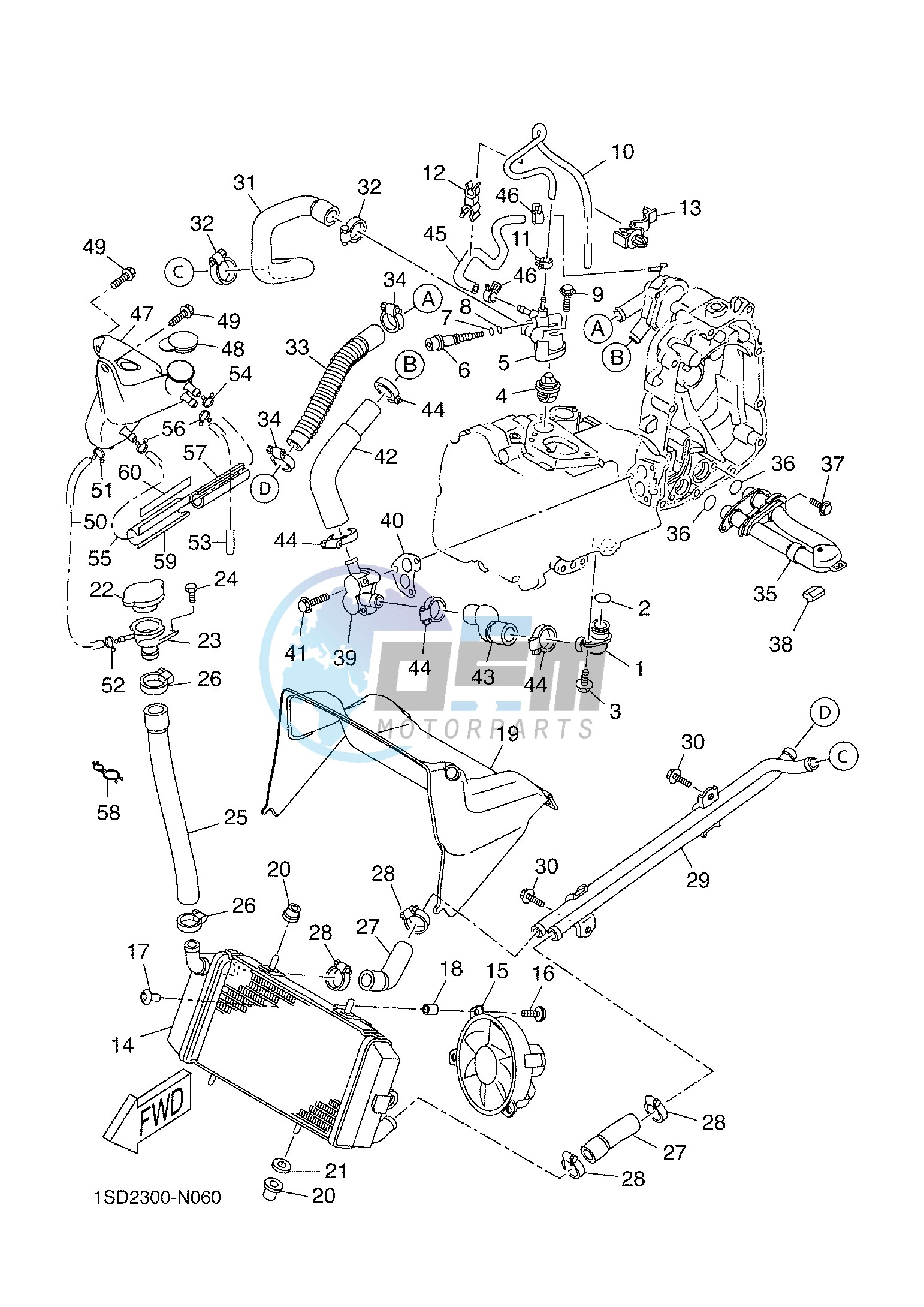 RADIATOR & HOSE