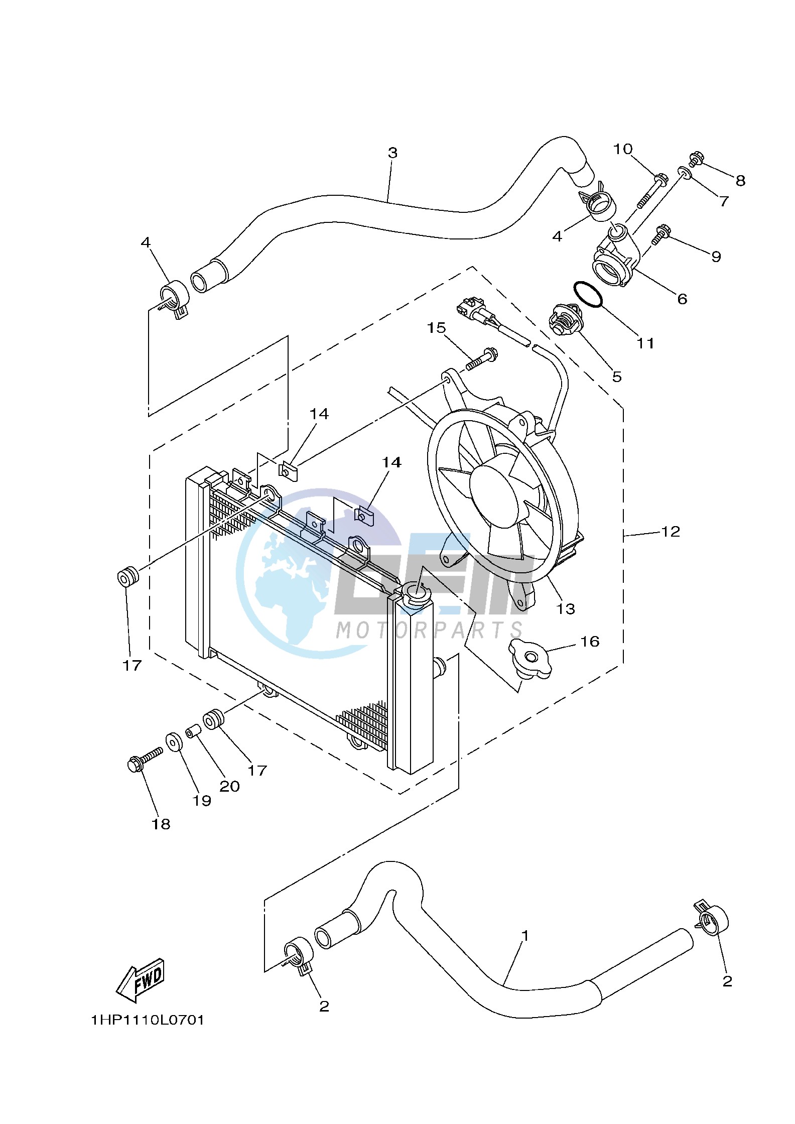 RADIATOR & HOSE