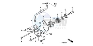 TRX450ERC drawing WATER PUMP