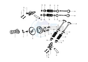 SHARK - 150 cc drawing CAMSHAFT-VALVE