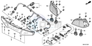 GL1800F GoldWing - GL1800-F 2ED - (2ED) drawing REAR COMBINATION LIGHT (GL1800C/ D/ E/ F/ G)