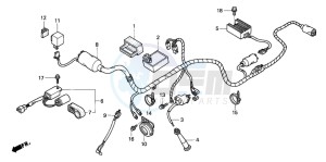 XR250R drawing WIRE HARNESS/IGNITION COI L